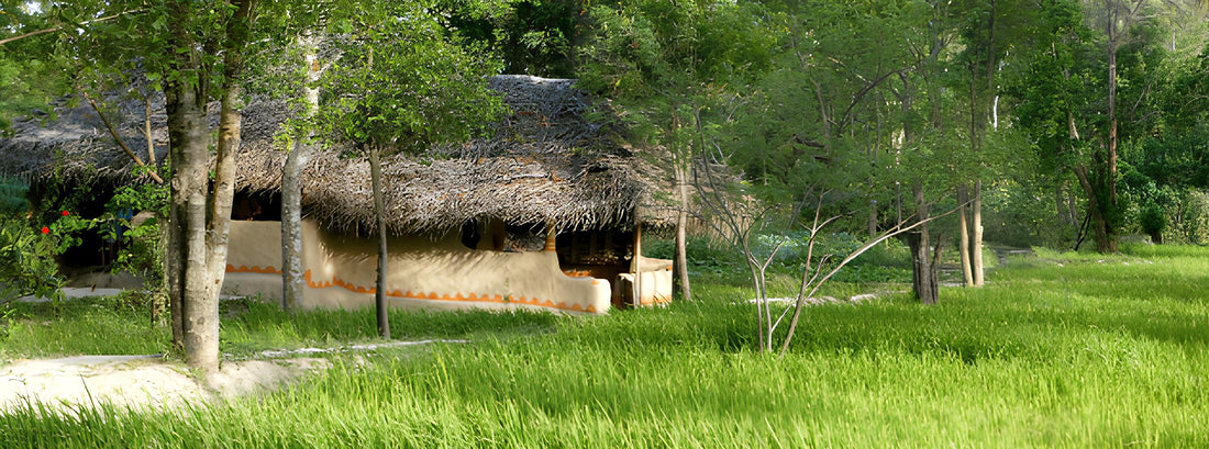 Sigiriya Village