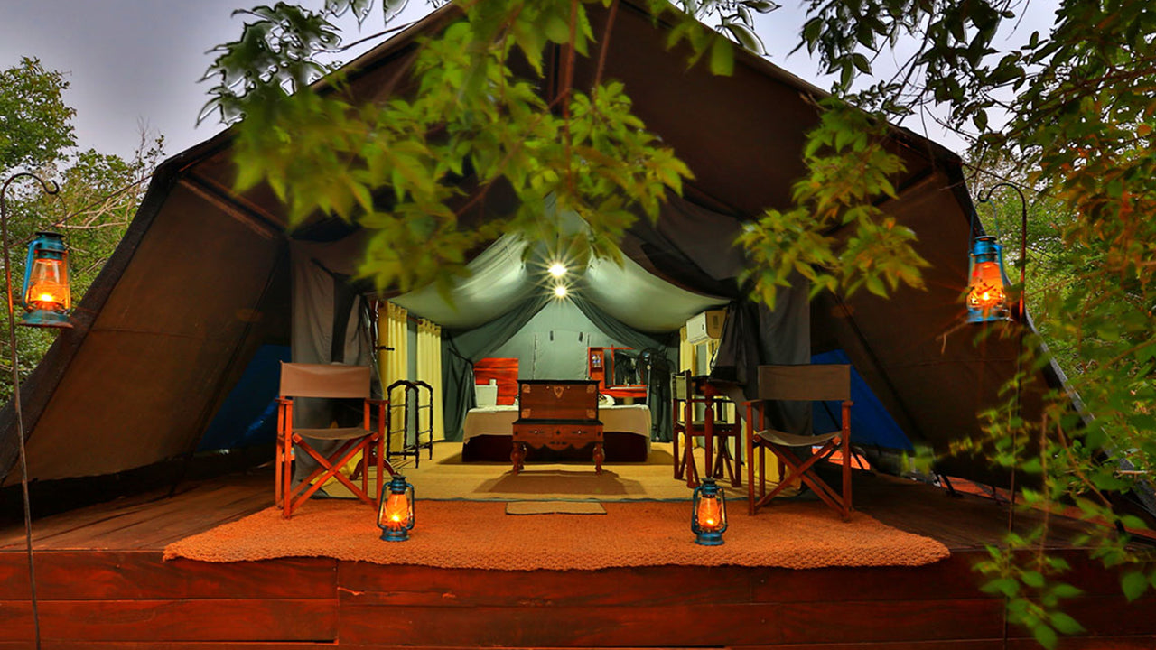 Camping from Yala