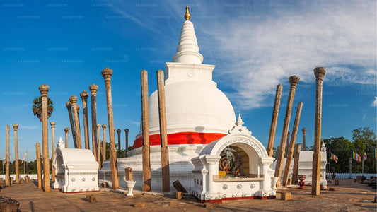 Wilpattu and Anuradhapura from Colombo (2 Days)