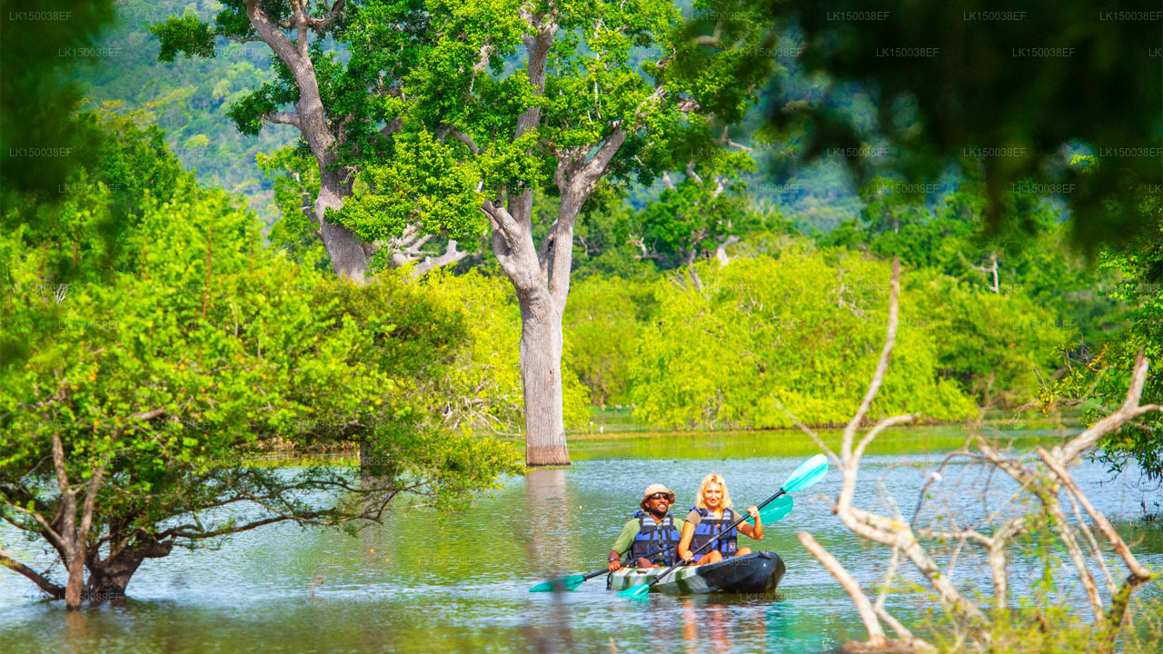 Kulu Safarid, Yala