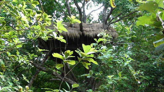 Wasgamuwa Safari Sri Lanka - Holiday Bungalows