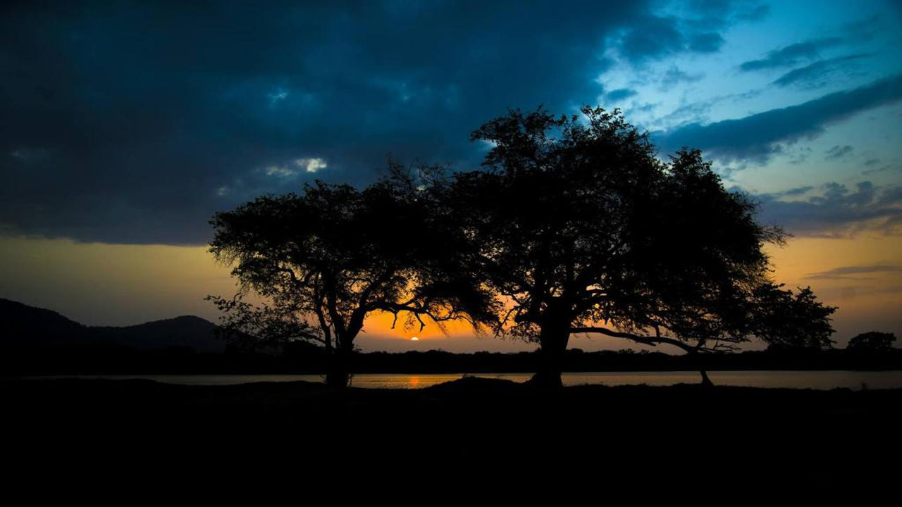 Wadula Safari - Yala, Kataragama