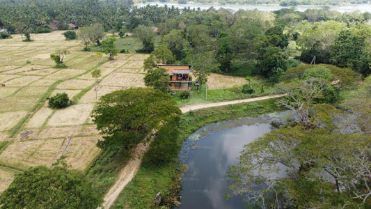 Loft järve ääres, Kurunegala