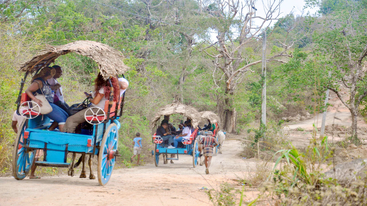 Sigiriya külaekskursioon ja lõunasöök