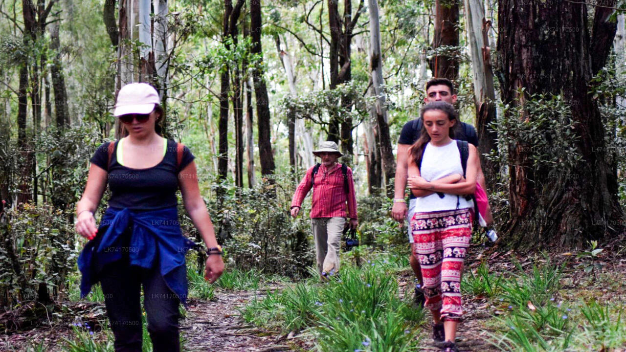 Trekking Heloya küla Kandy