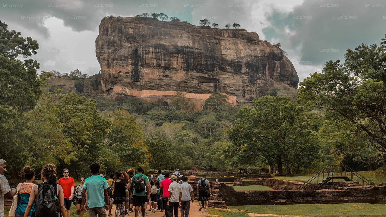 Sigiriya Rock and Wild Elephant Safari from Colombo