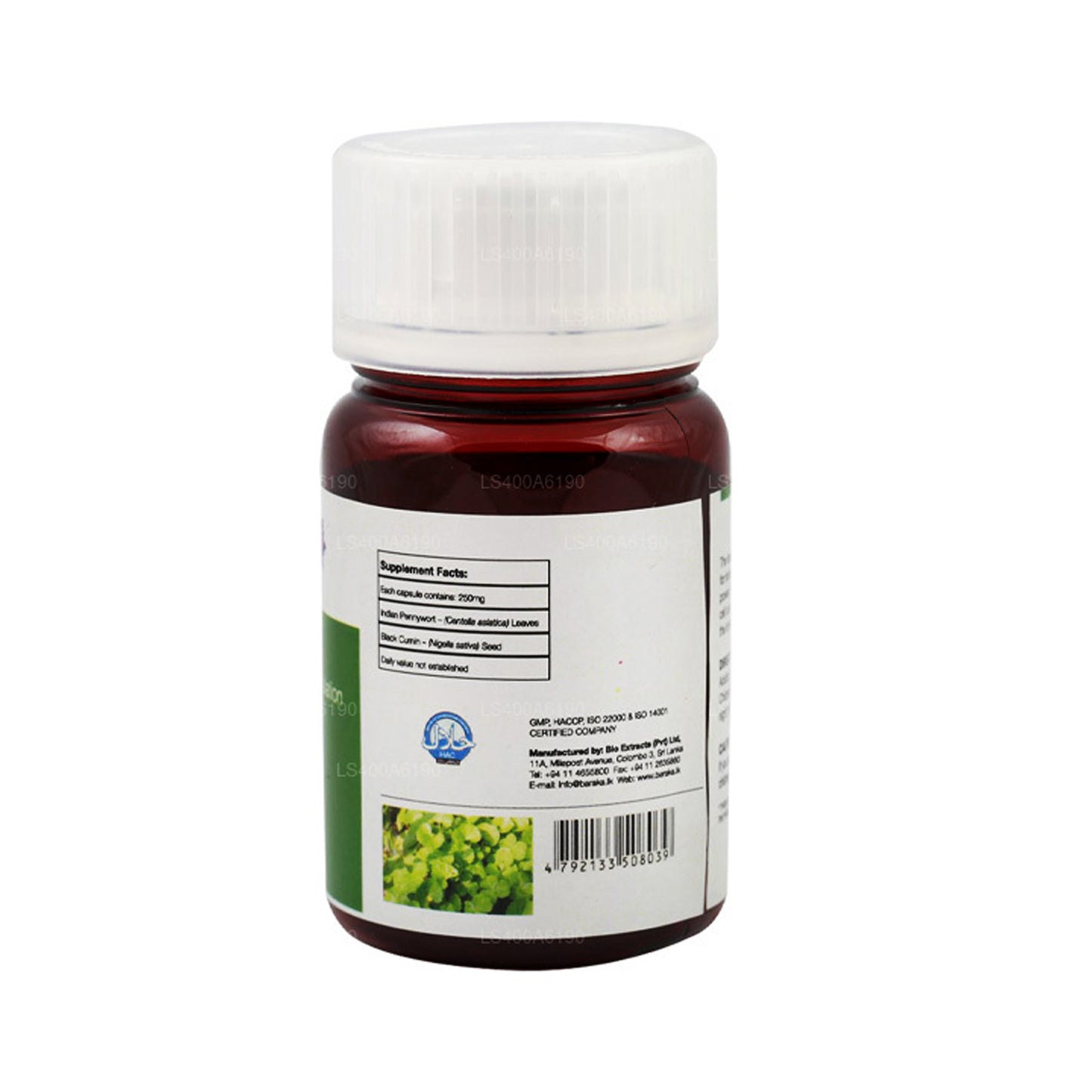 Baraka Gotukola Plus (10 Capsules)