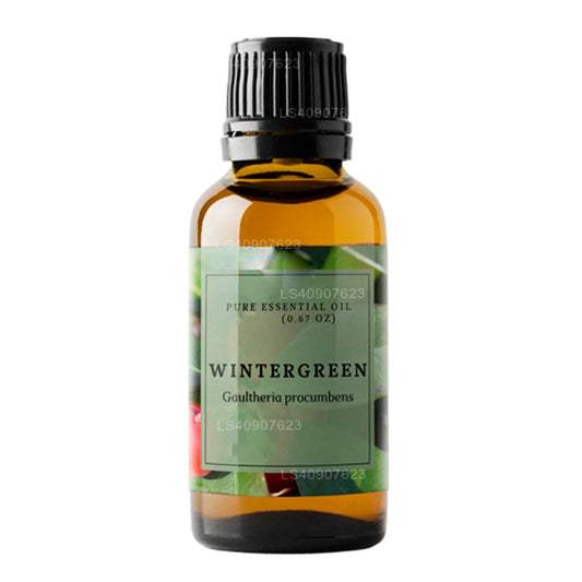 Lakpura Wintergreen Eeterlik Õli (15ml)