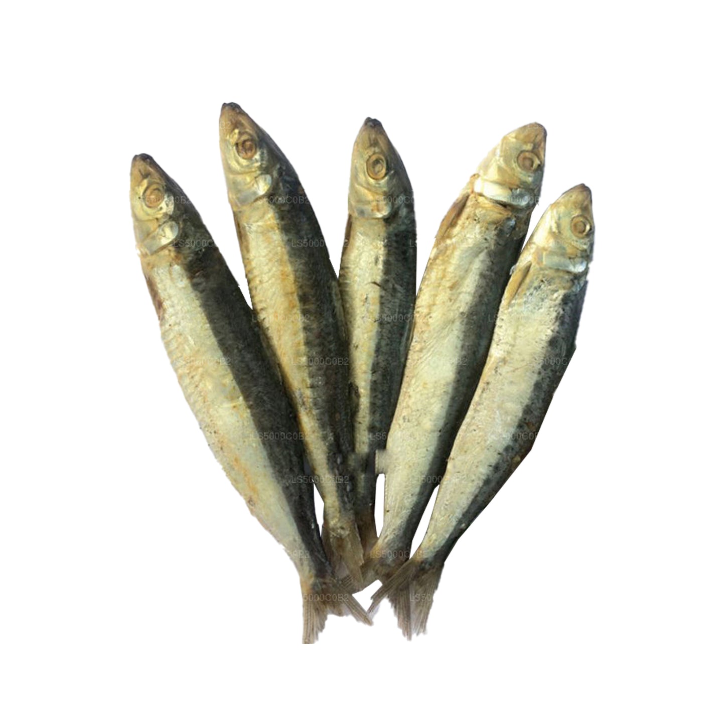 Lakpura kuivatatud Urullo „” (200g)