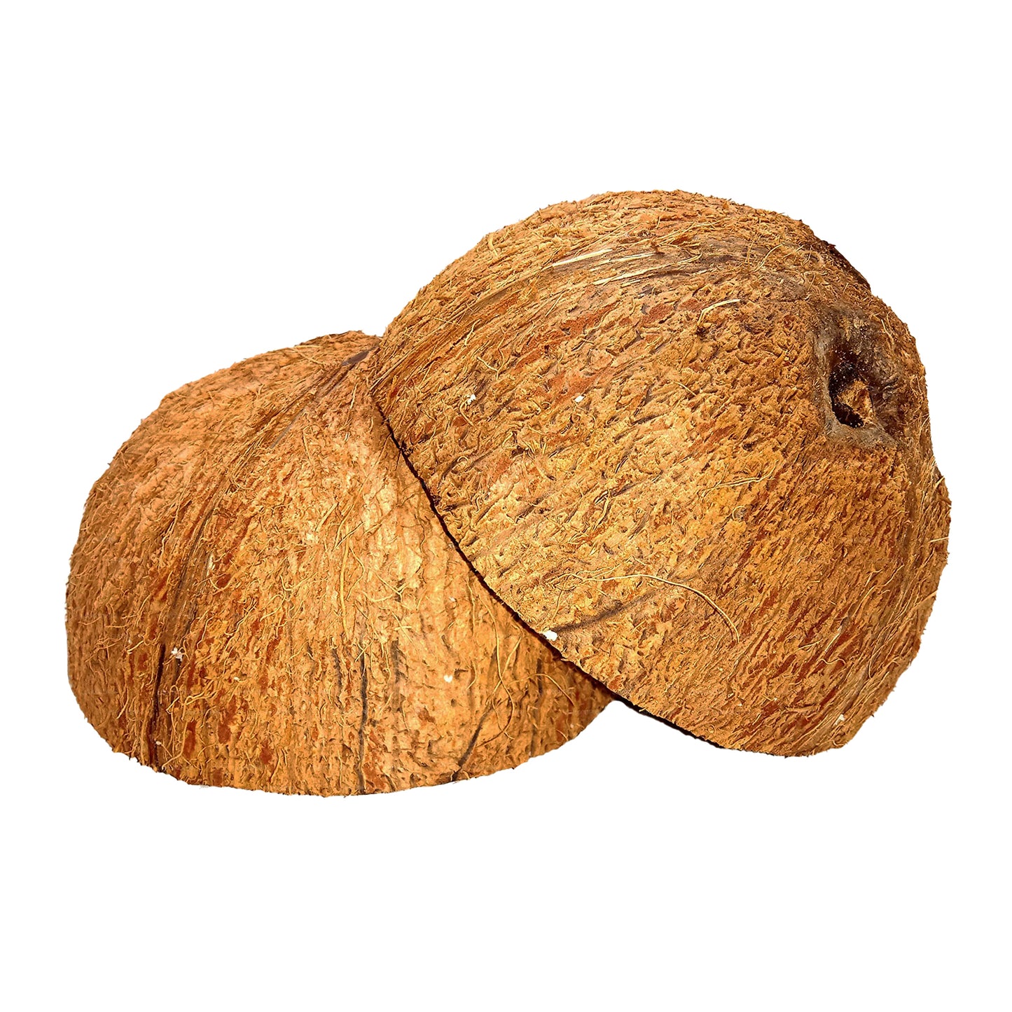 Kookospähkli koorega poolitatud (2 tk)