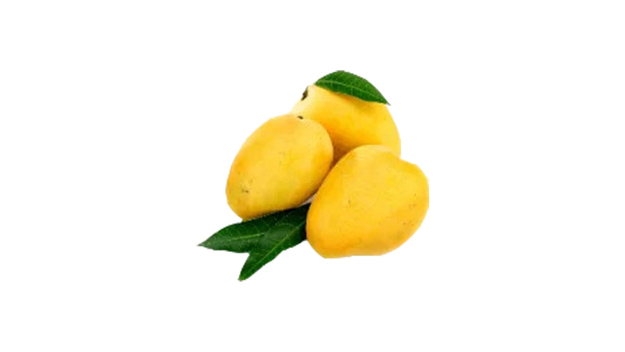 Bangkok Yellow Mango  (බැංකොක් කහ අඹ (බද්ධ) Fruit Plant