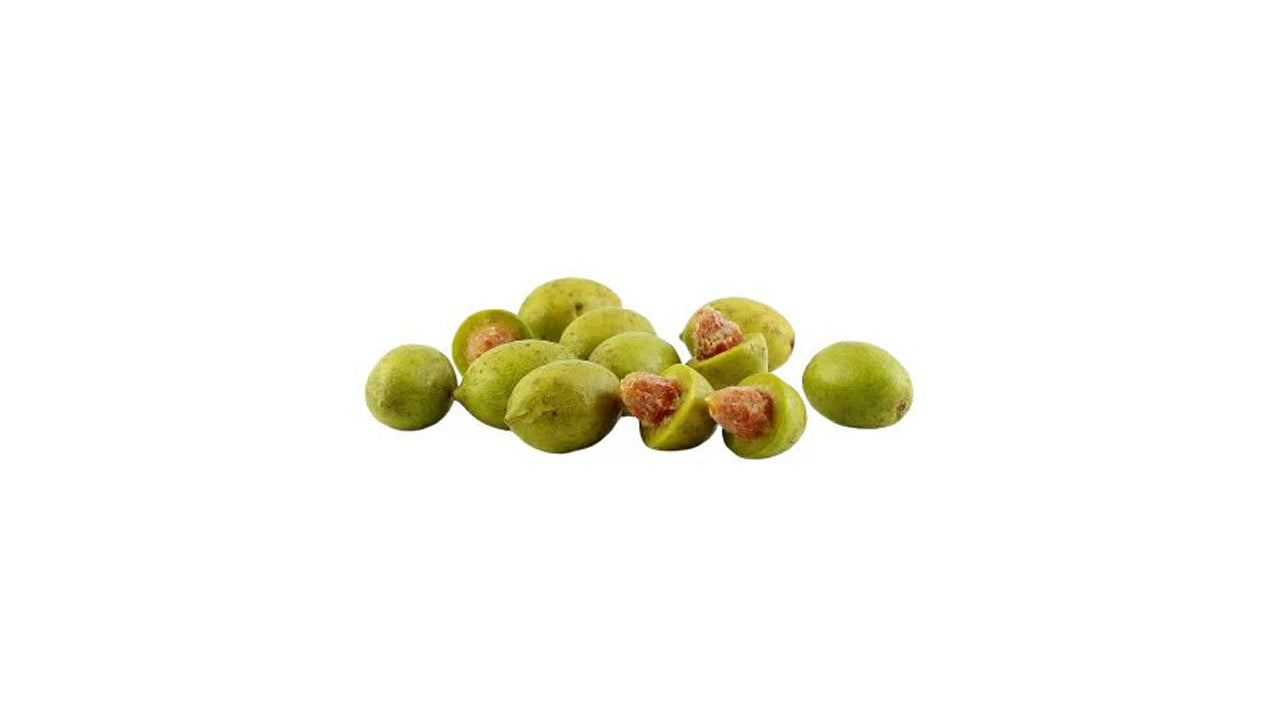 Ceylon Olives (වෙරළු (බද්ධ) Fruit Plant