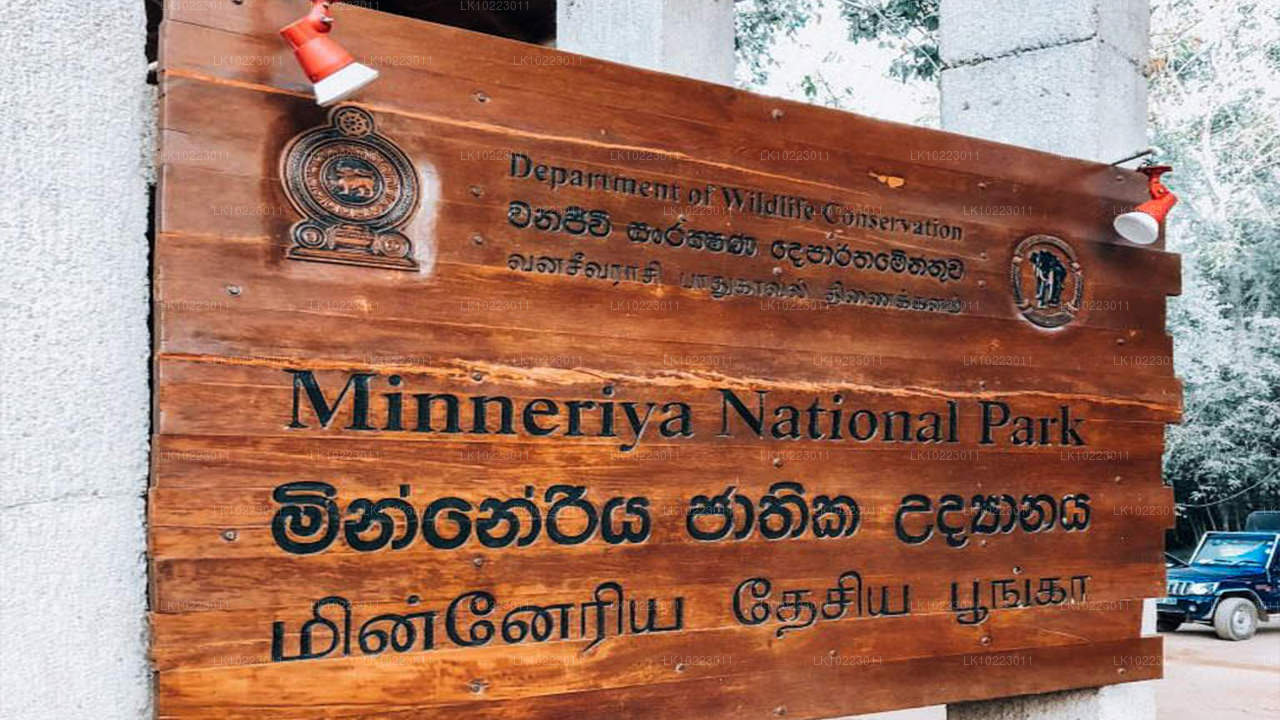 Sigirya ja Minneriya alates Negombo (2 päeva)