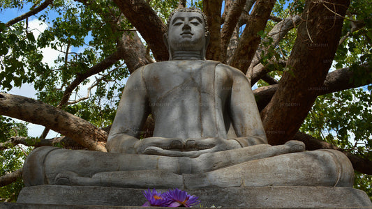 Sacred City Anuradhapura Colombo (3 päeva)