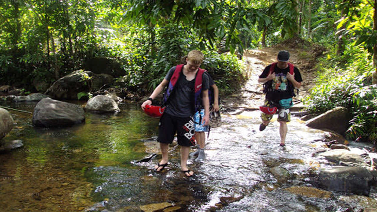 Eco Tours Sri Lanka (6 päeva)