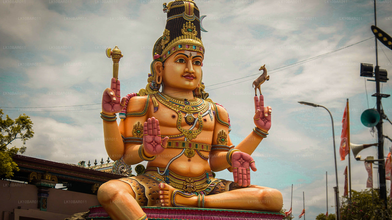 Ramayana puhkus (11 päeva)