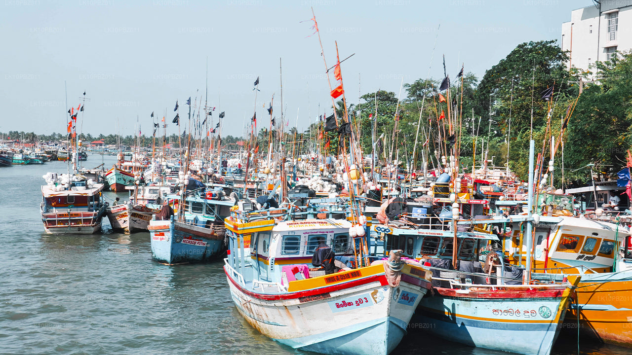 Amazing Sri Lanka (25 päeva)