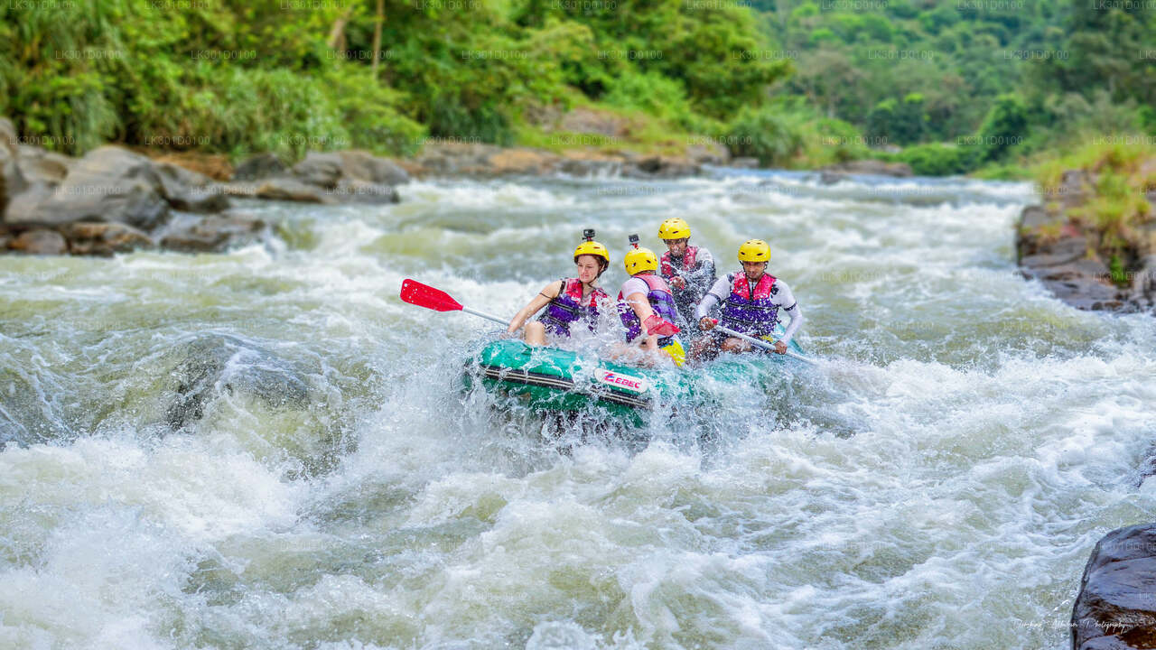 White Water Rafting alates Kitulgala