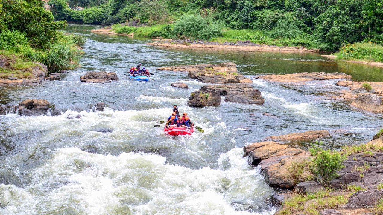 White Water Rafting alates Kitulgala