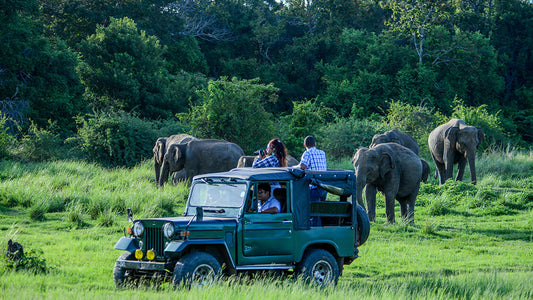 Bundala rahvuspark Private Safari