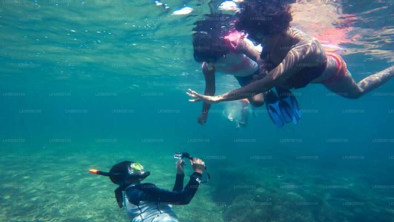 Snorkeling alates Negombo