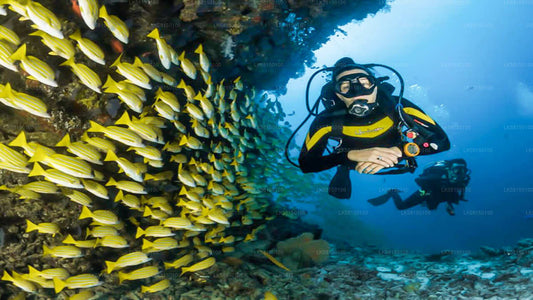 Snorkeling in Talawila St. Anne's Reef