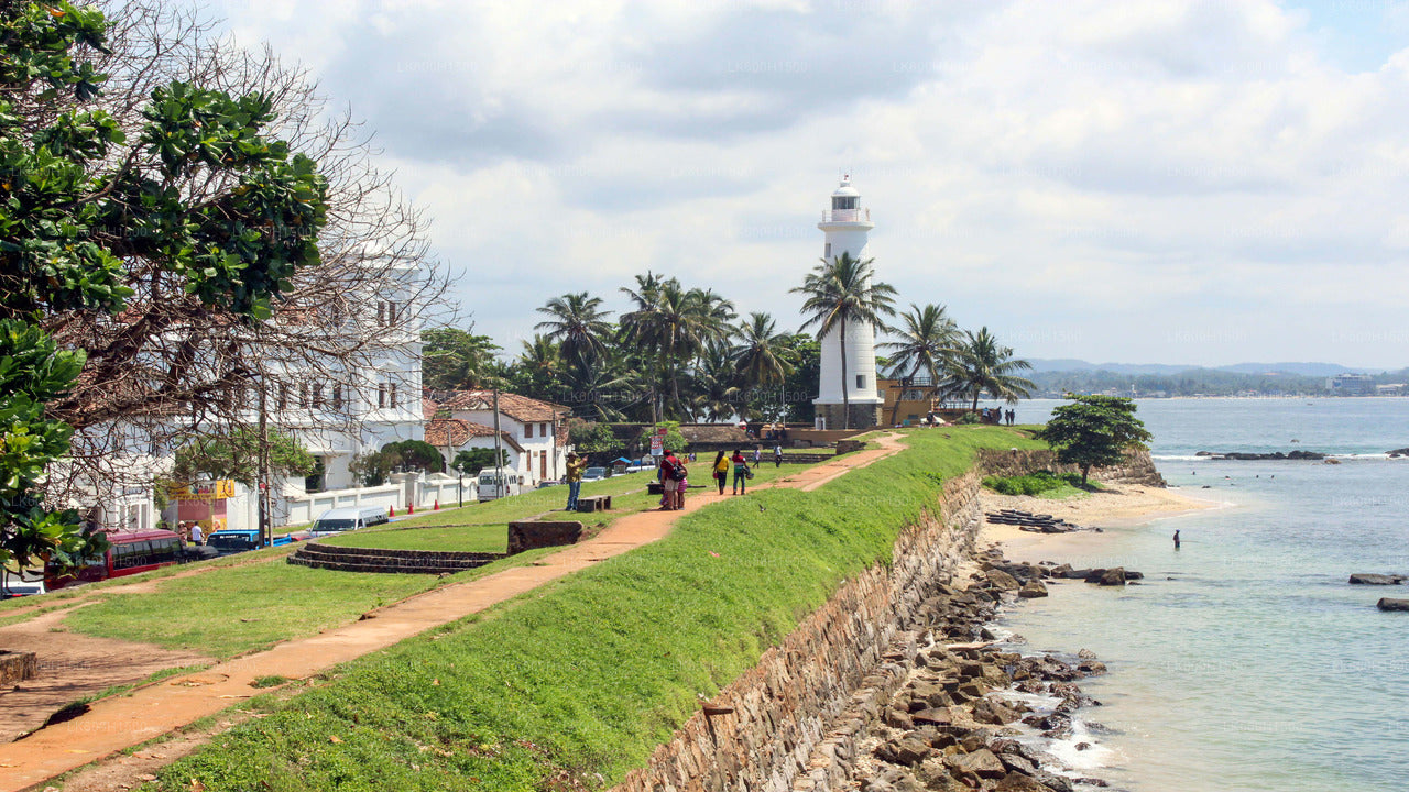 Virgin White Tea Factory ja Galle Fort Colombo