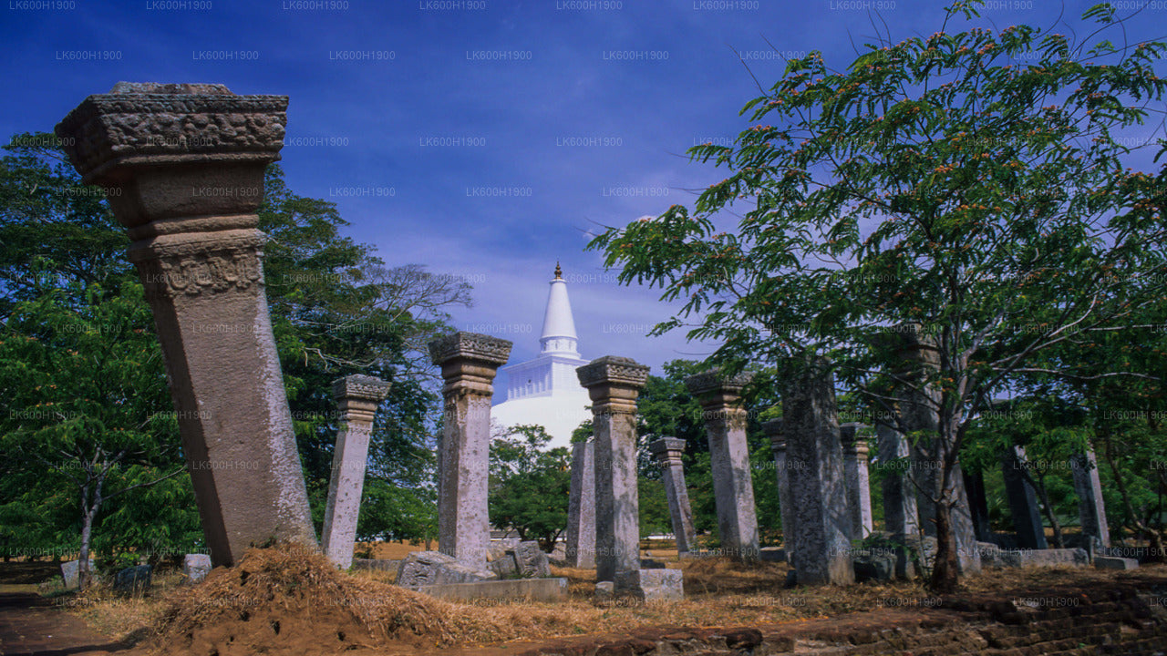 Sacred City Anuradhapura Colombo