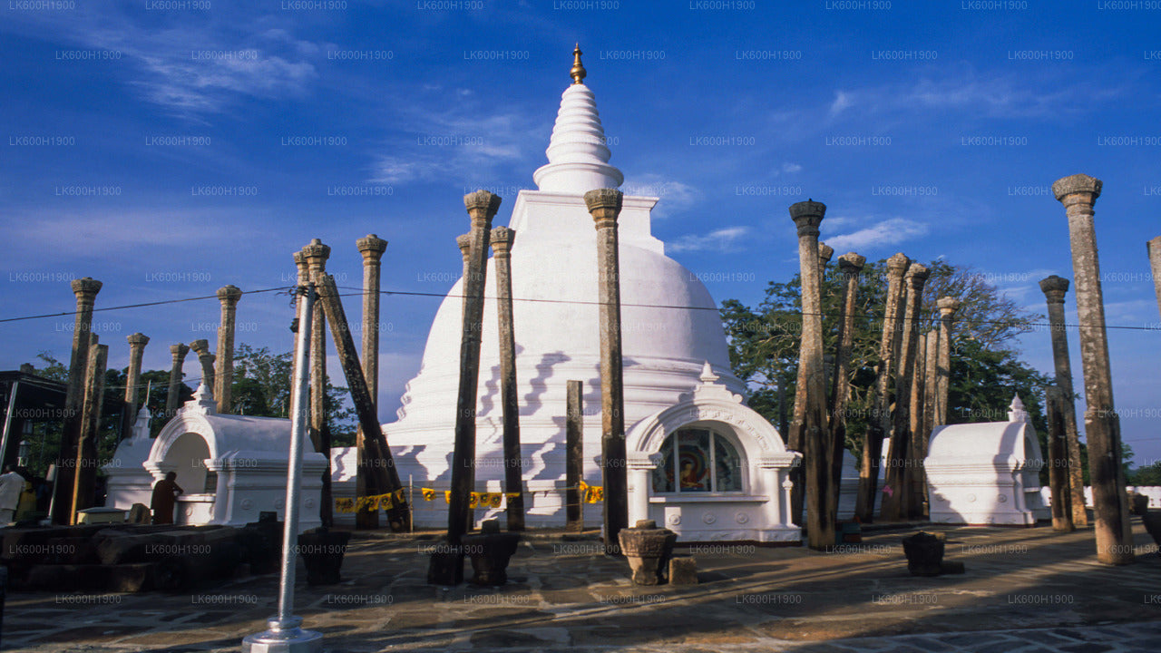 Sacred City Anuradhapura Colombo