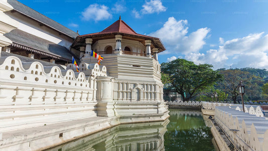 Kandy City Tour ja Millennium Elephant Foundation külastus Colombo