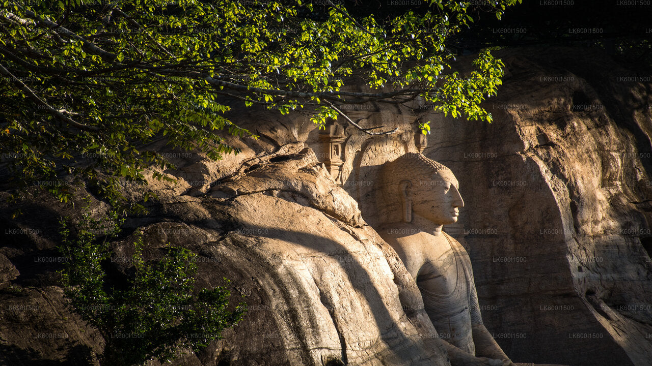 Polonnaruwa Vana-Kuningriigi ja Wild Elephant Safari Dambulla