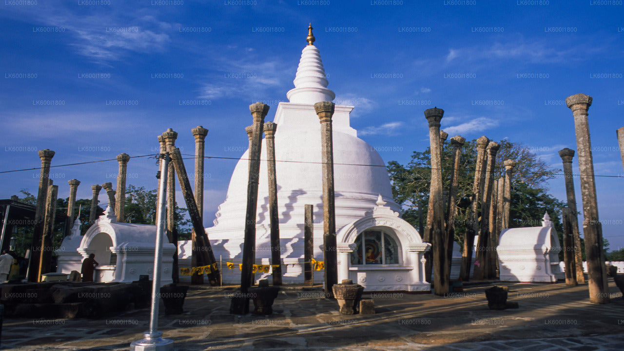 Anuradhapura budistlik ikoonid Tour Dambulla