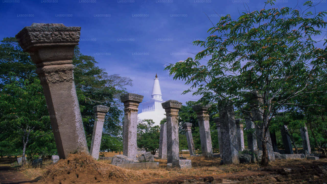 Anuradhapura budistlik ikoonid Tour Dambulla