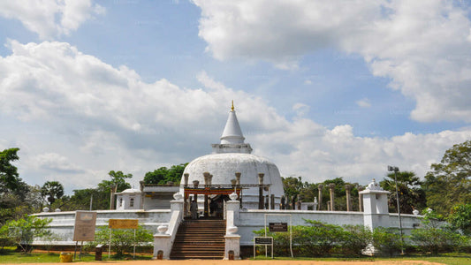 Anuradhapura budistlik ikoonid Tour Dambulla