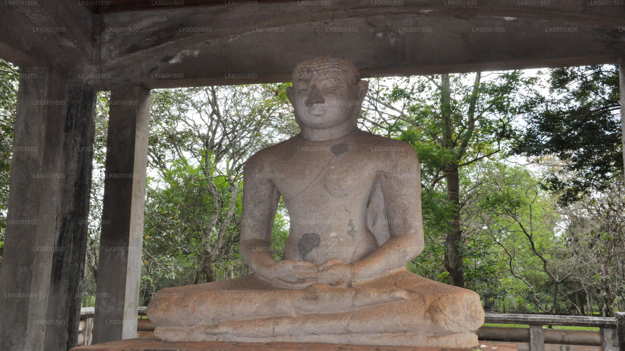 Anuradhapura budistlik ikoonid Tour Dambulla