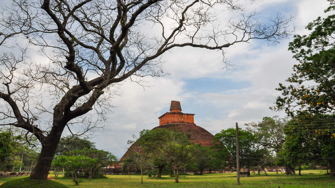 Anuradhapura budistlik ikoonid Tour Dambulla