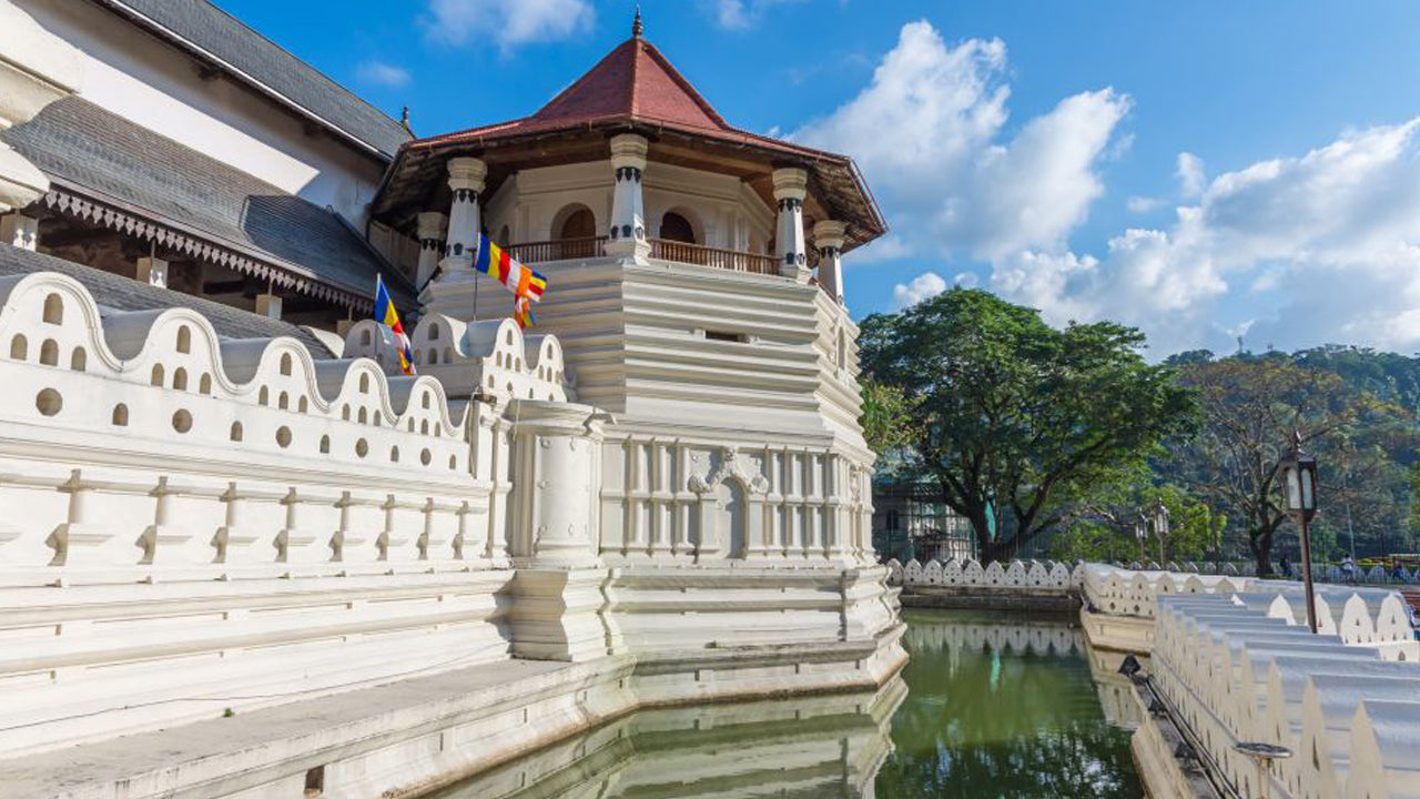 Pinnawala ja Kandy Tour Colombo