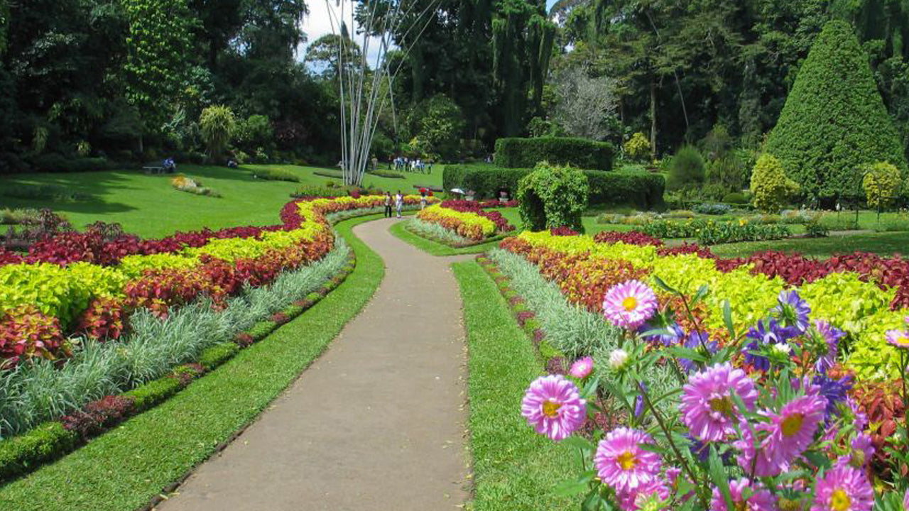 Pinnawala ja Kandy Tour Colombo