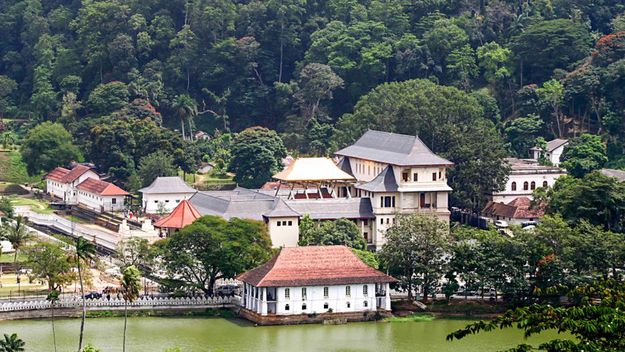 Pinnawala ja Kandy Tour Colombo