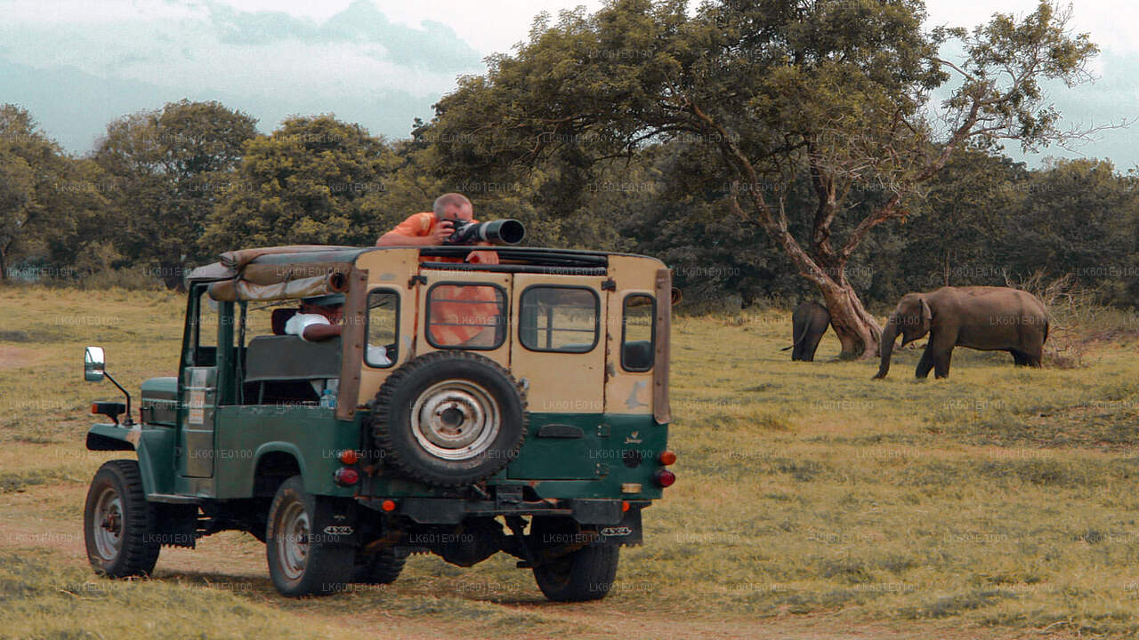 Udawalawe rahvuspark Safari Koggalast