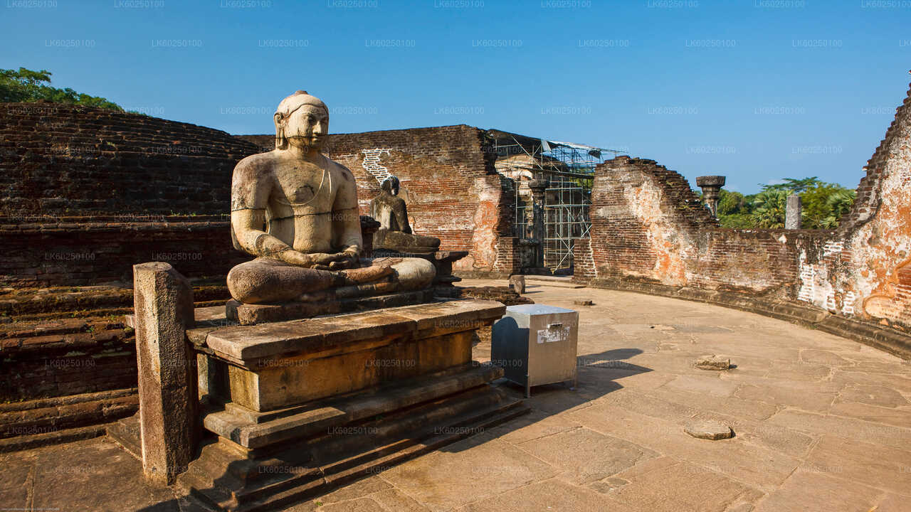 Polonnaruwa Ancient Kingdom and Wild Elephant Safari from Pasikuda