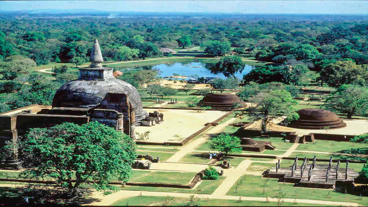 Polonnaruwa Ancient Kingdom and Wild Elephant Safari from Pasikuda