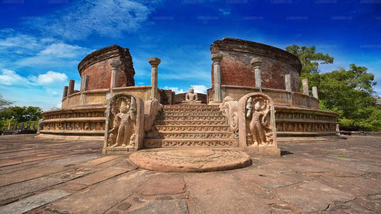 Polonnaruwa Ancient Kingdom and Wild Elephant Safari from Pasikuda