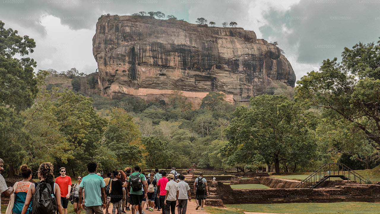 Sigiriya Rock and Wild Elephant Safari from Pasikuda