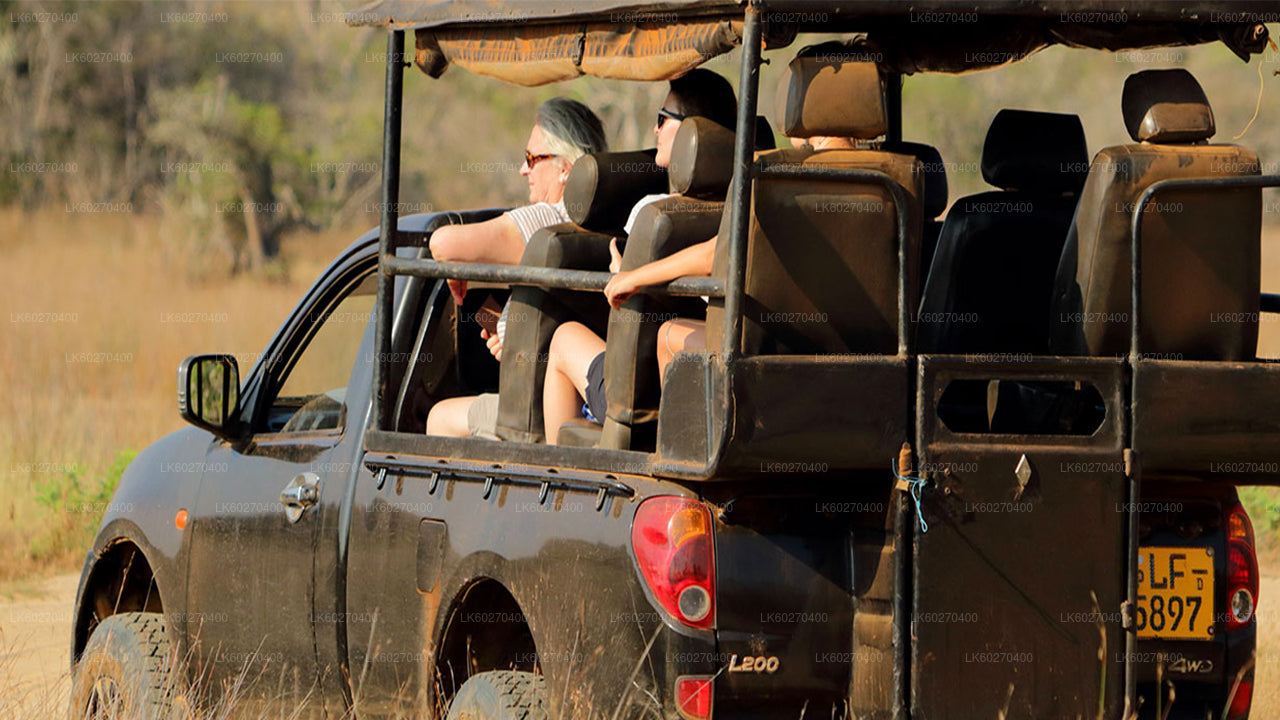 Udawalawe rahvuspark Safari alates Dikwella