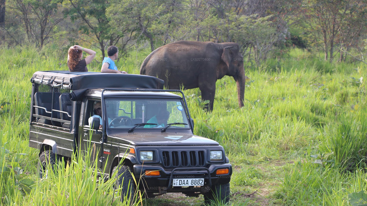 Udawalawe rahvuspark Safari alates Dikwella
