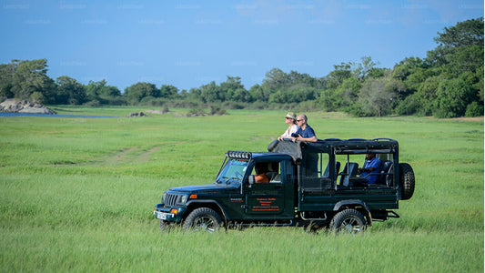 Udawalawe rahvuspark Safari alates Dikwella