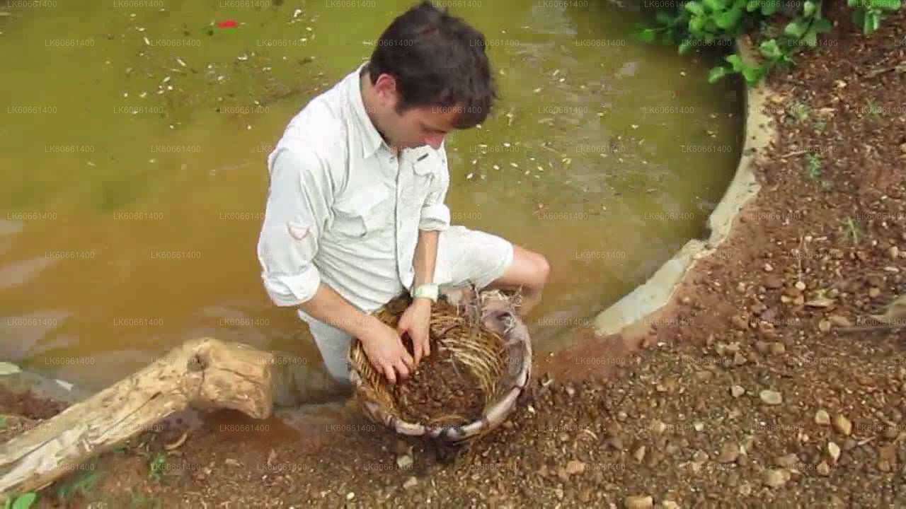 Tutvu Gem Mines Ratnapura alates Mount Lavinia