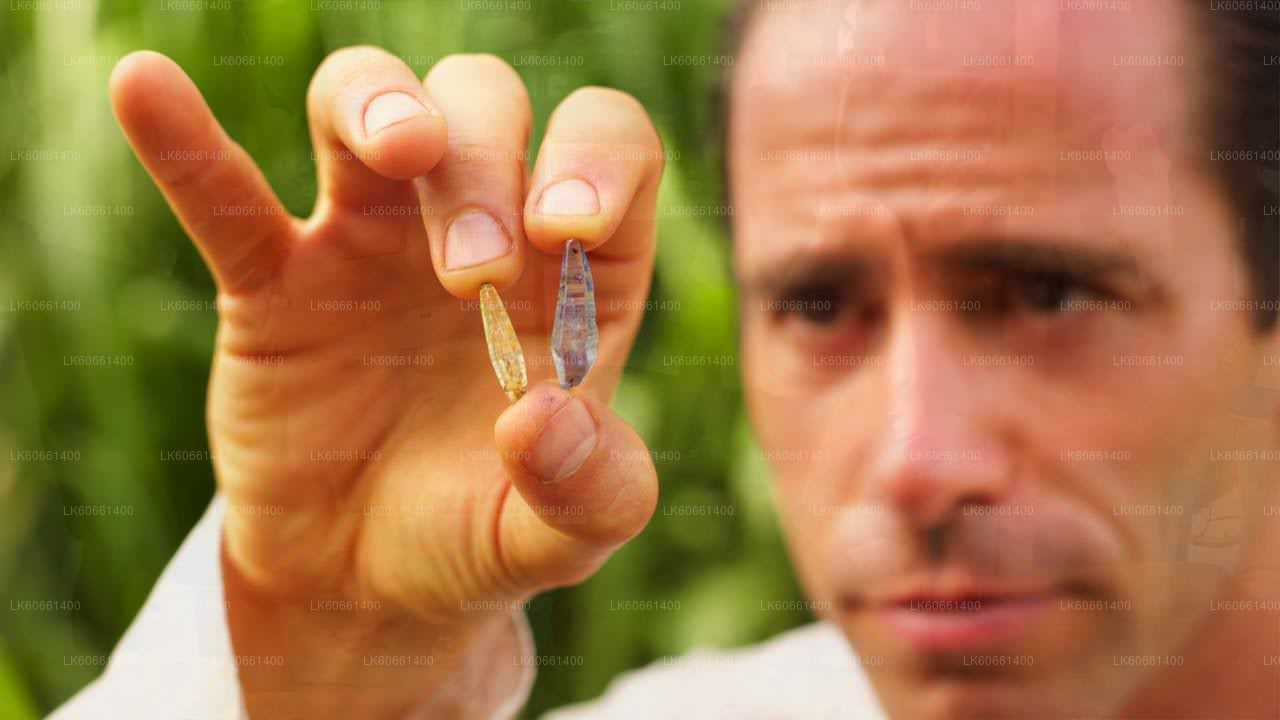 Tutvu Gem Mines Ratnapura alates Mount Lavinia