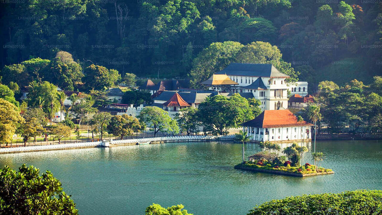 Kandy City Tuk Tuk Safari